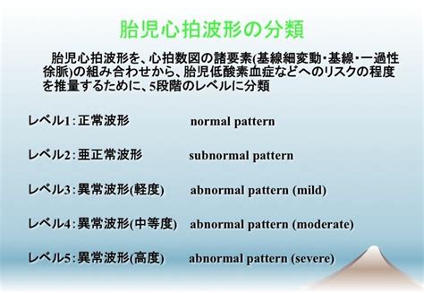 胎児心拍陣痛図の読影法 Part23 産婦人科専門医・周産期専門医からのメッセージ