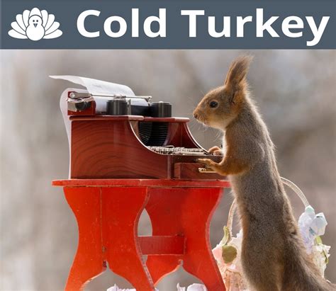 cold turkey  writers melanie rockett