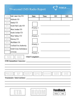 Ems Report Sheet