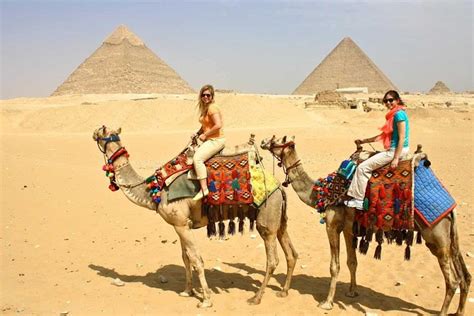 Private Half Day Tour Giza Pyramids And Sphinx By Camel Triphobo