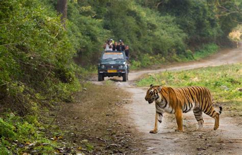 Satkosia Tiger Reserve, Odisha | Wildlife Sanctuary, Timings, Entry Fee ...