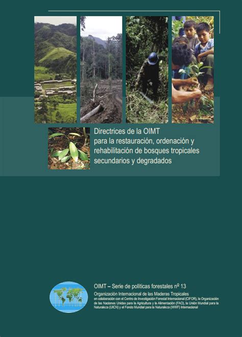 Fao Sfm Detalles De Herramientas Directrices De La Oimt Para La Restauración Ordenación Y