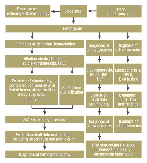 Hemoglobinopathies Clinical Manifestations Diagnosis And Treatment