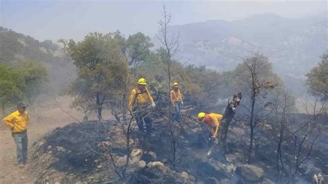 Suma Hidalgo 60 Incendios Forestales En Cinco Meses La Silla Rota