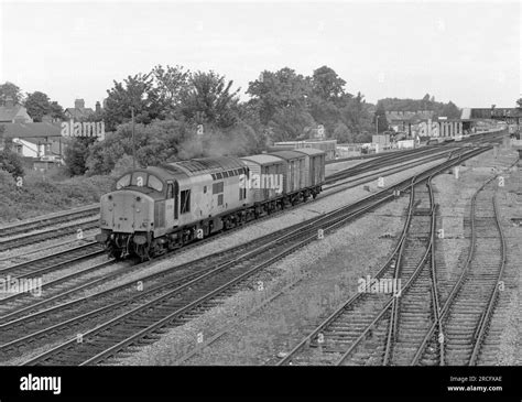 A Class 37 Diesel Locomotive Number 37019 Working A Short Mod Freight Formed Of Three Four Wheel