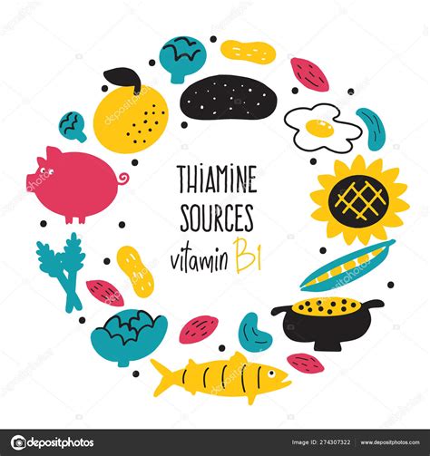 Vitamin B Food Sources Thiamine Vector Cartoon Illustration Round