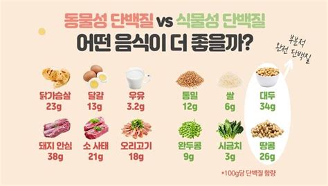 별내 필라테스 리저브 필라테스 동물성 단백질 Vs 식물성 단백질 네이버 블로그