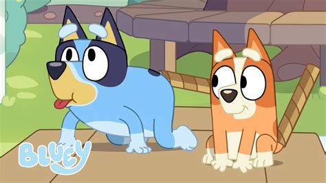 Vorgeben Tiere Zu Sein Bluey Und Bingo Vorgabespiel Bluey