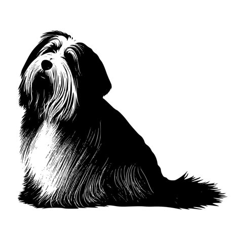 Bearded Collie Svg File For Cricut Silhouette And Laser Machines