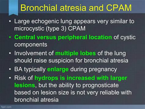 Ultrasound Evaluation Of Fetal Thorax Ppt