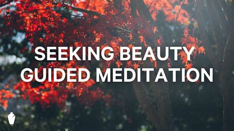 Seeking Beauty Guided Christian Meditation Youtube