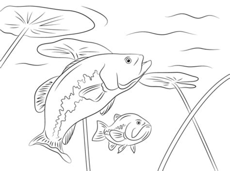 Get This Printable Fish Coloring Pages Online 711877