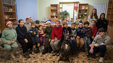 Una Nueva Terapia Para Niños Que Enfrentan El Trauma De La Guerra En Ucrania Utiliza Perros Para