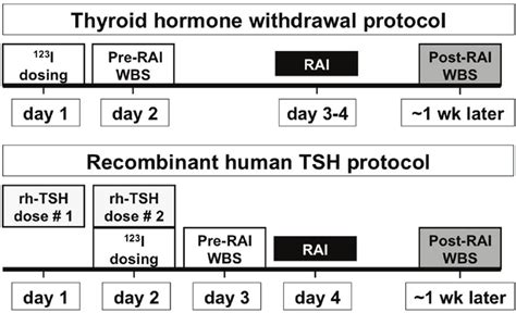 Preparation Methods And Procedure Protocols During Therapy Week