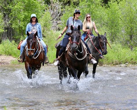 North Fork Trail Rides - North Fork Trail Rides