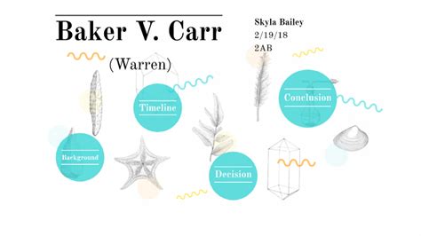 Baker v. Carr by Sky Bail