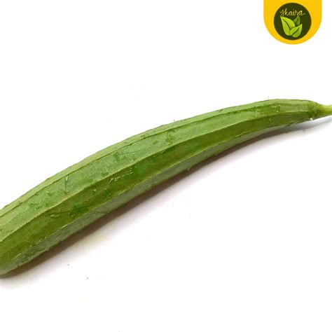 Rib Patola 5 Seeds For Planting Binhi Pantanim Lazada PH