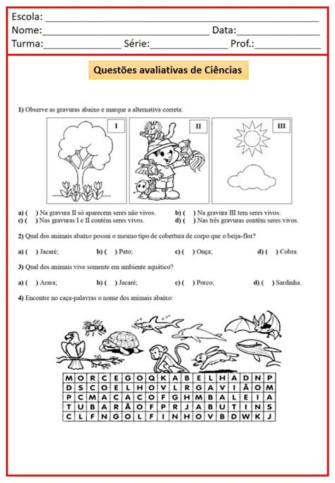 Prova De Ciencias 3 Ano - AVALIAÇÃO DE CIÊNCIAS PARA O 3 ANO - Atividades para a Educação ...