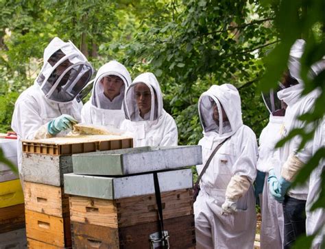 Happyculteur Les Ateliers D Initiation L Apiculture Urbaine Pour