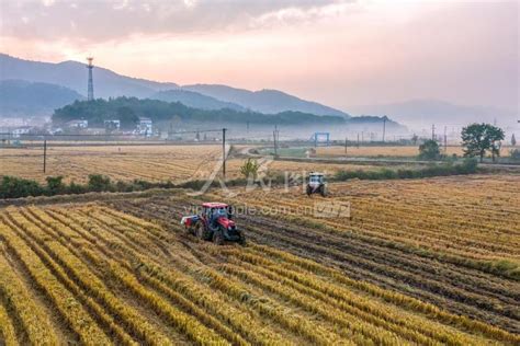 安徽芜湖：抢抓农时秋耕秋种 人民图片网