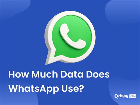How Much Data Does WhatsApp Use? - Qrispy