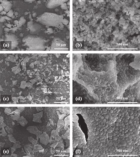 Low And High Magnification FESEM Images Of The A And B CA C And