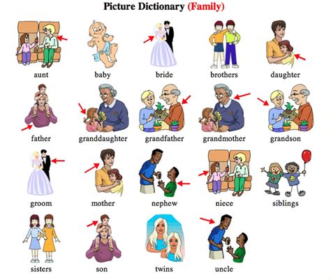 English Vocabulary: Members of the Family - ESLBUZZ