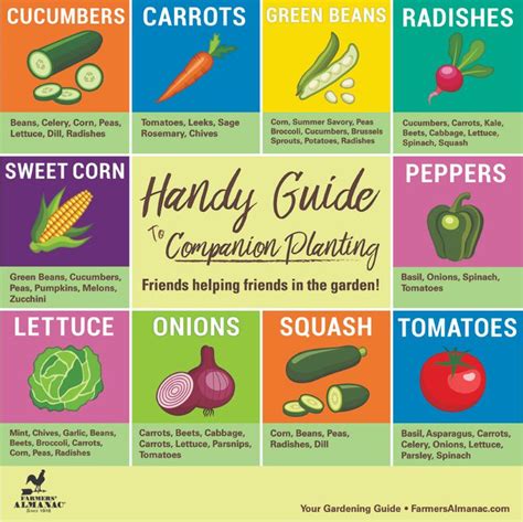 Companion Planting Guide From Farmers Almanac