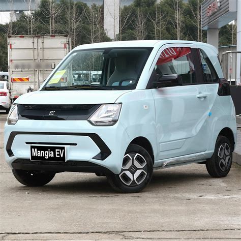 New Electric Car Dongfeng Mini EV 2023 Household Four Wheel Mini