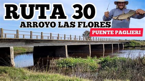 Pesca En Arroyo Las Flores Por Ruta 30 Moncholos Gigantes Sobre El