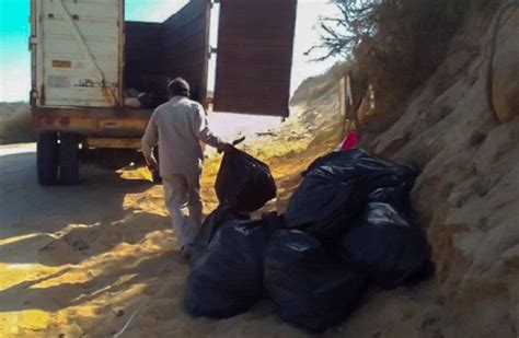 78 Toneladas De Basura Se Recolectó En Playas De Los Cabos Culco Bcs