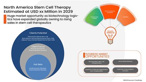 North America Stem Cell Therapy Market Size Forecast By