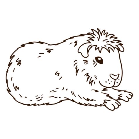 Meerschweinchen Streichelt Tier PNG Und SVG Design Für T Shirts