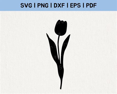 Tulpe Svg Blume Svg Blumen Svg Fr Hling Svg Dateien F R Cricut