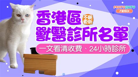 香港區獸醫診所名單不斷更新 一文看清收費、24小時診所