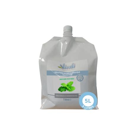 Solution hydroalcoolique menthe 5L Fabricant Vindi Désinfectant fr