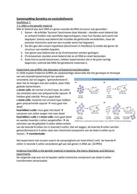 Samenvatting Genetica En Evolutietheorie H7 Samenvatting Genetica En