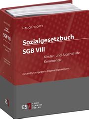 Sozialgesetzbuch SGB VIII Kinder Und Jugendhilfe Einzelbezug