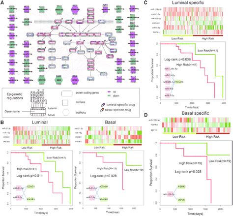 Epigenetically Dysregulated NcRNAs Regulate Extensive Pathways And Are