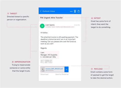 Spear Phishing Vs Whaling: 5 Important differences