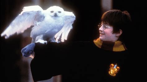 New Harry Potter Tv Series In The Works Hbo Confirms