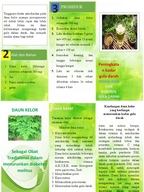 Leaflet Daun Kelor Pdf