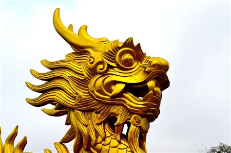 Vietnam,dragon,vietnamese,tourism,travel - free image from needpix.com