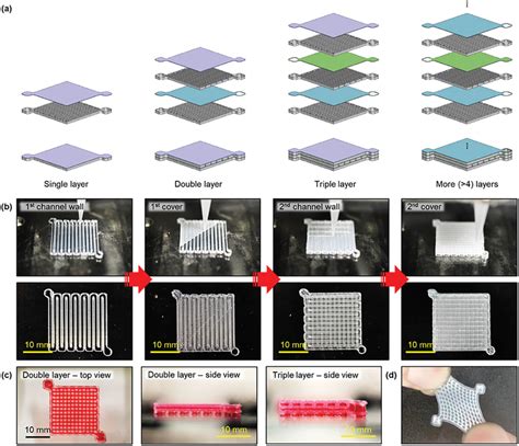 Diw 3d‐printed Multilayered Microchannels A Schematic Illustrations