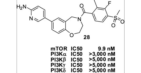 Discovery Of A Novel Class Of Highly Potent Selective ATP Competitive