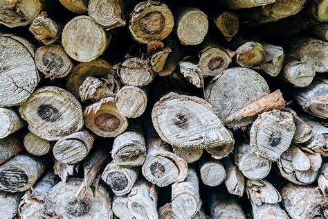 Holz Baumst Mme Bole Kostenloses Foto Auf Pixabay Pixabay