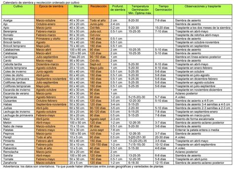 Calendario De Siembra Para Tu Huerto Urbano