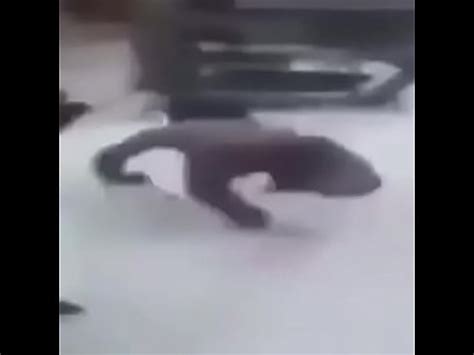 Anão 1 0 Fire tunado fodendo no bar desconhecido XVIDEOS