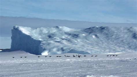 This Week At Davis October Australian Antarctic Program