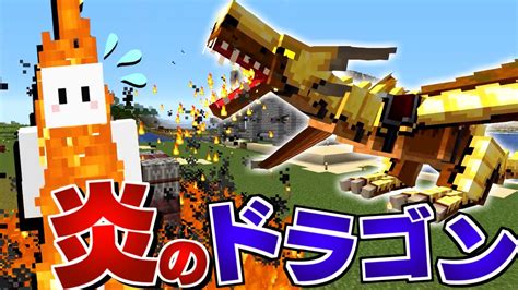 【マイクラ】ドラゴンだらけの世界で全てのドラゴンを飼いならす 14 炎のドラゴンで宿敵を燃やし尽くす【マインクラフト】 Youtube